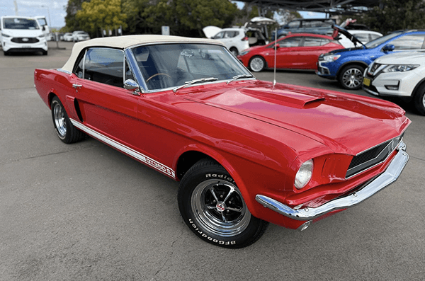 Mustangs (1965–1970)